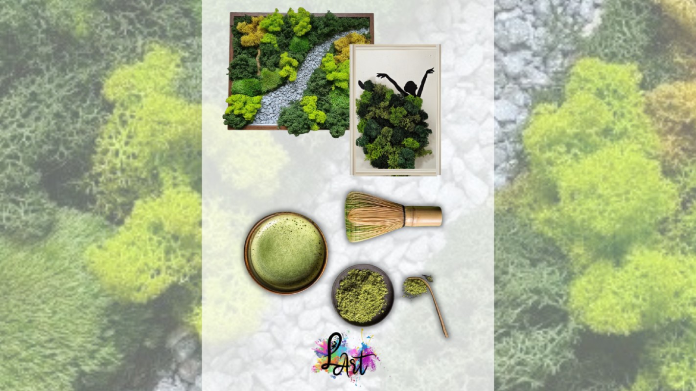 Obrázok udalosti: Špecialný zážitok s MATCHA RITUÁLOM a tvorením MACHOVÝCH OBRAZOV